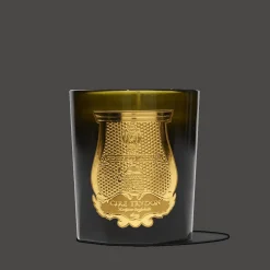 Bougie parfumée Trudon 270 g - Gabriel