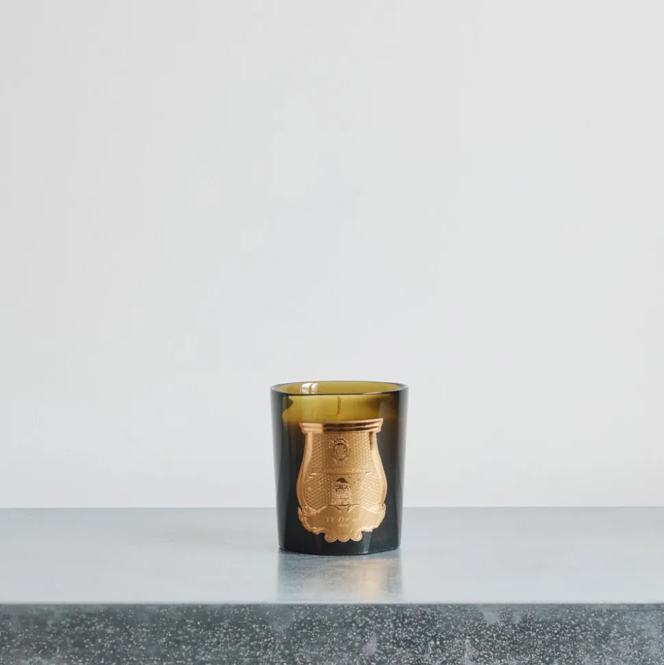 Bougie parfumée Trudon 270 g - Solis Rex