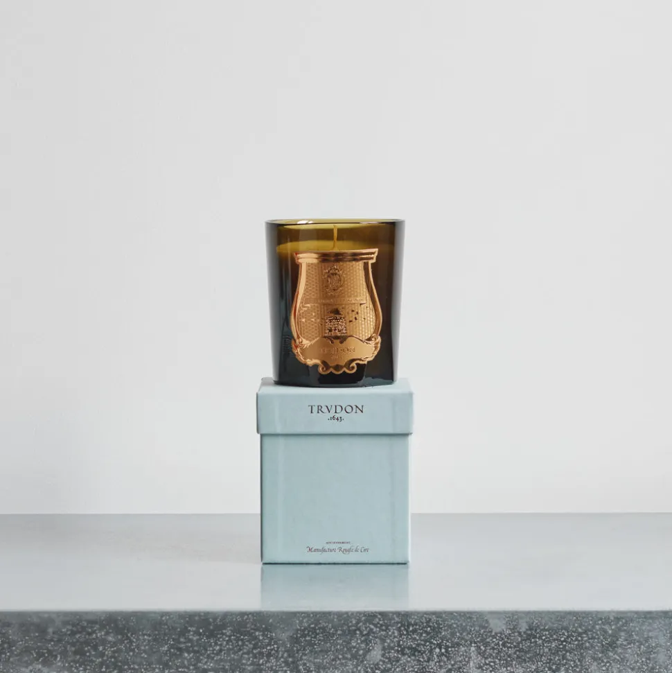 Bougie parfumée Trudon 270 g - Solis Rex