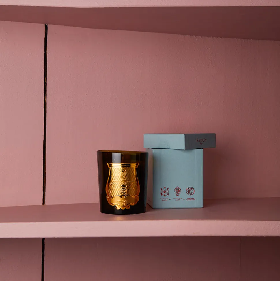 Bougie parfumée Trudon 270 g - Solis Rex