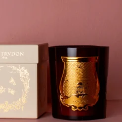 Bougie parfumée Trudon 270 g - Cire