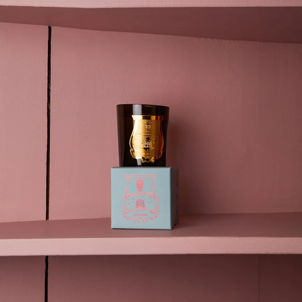 Bougie parfumée Trudon 270g - Dada