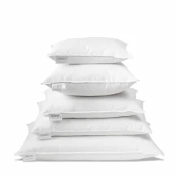 Intérieur de coussin en plume d'oie - Blanc