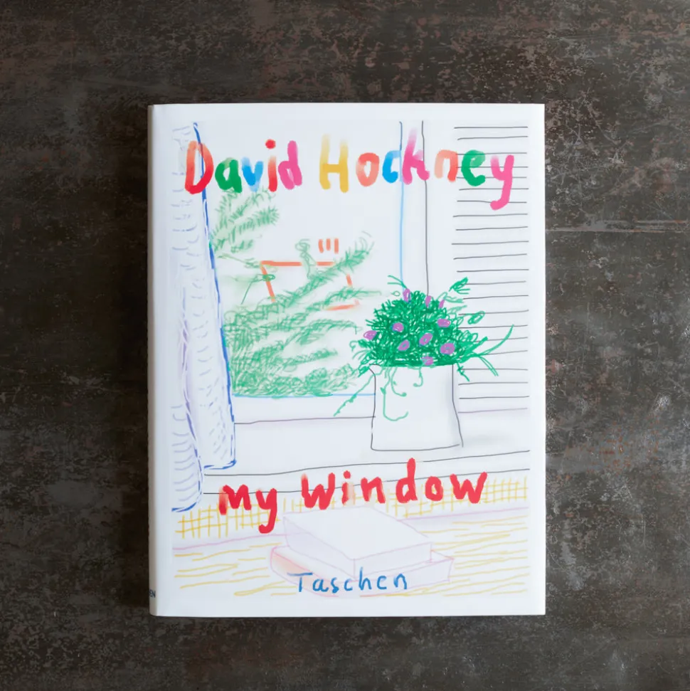 Livre - David Hockney my Window