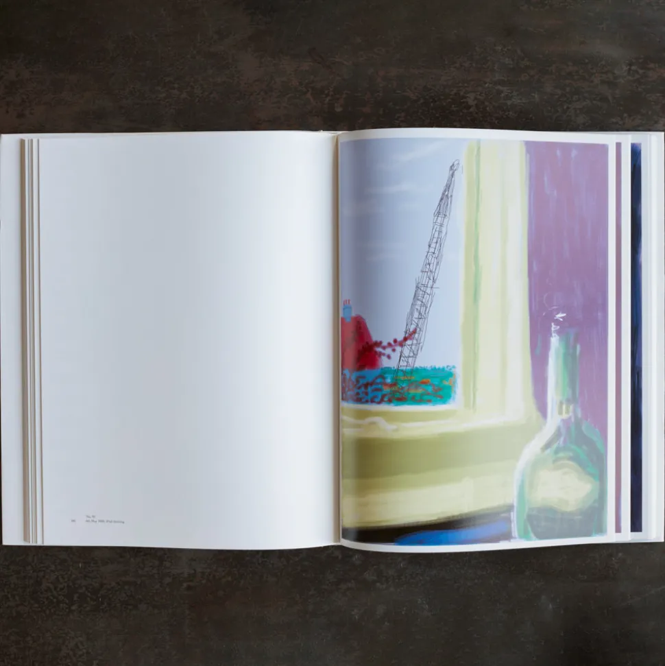 Livre - David Hockney my Window