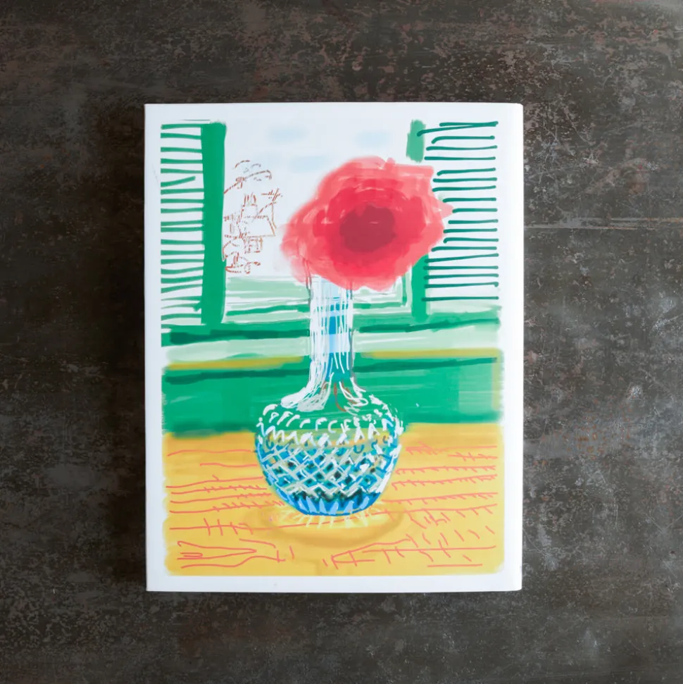 Livre - David Hockney my Window