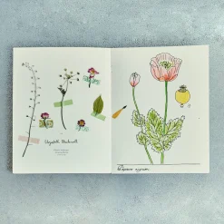 Livre - Fleurs de Zoé de las Cases