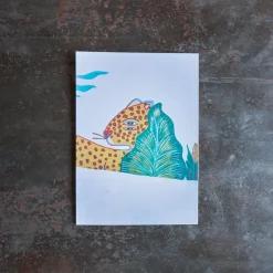 Livre - Puerto Escondido