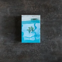 Puzzle in Puzzle