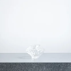 Vase Canyon - Transparent